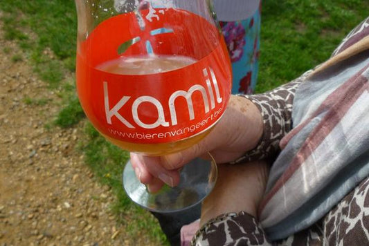 Krugerplein 2013: Muziek in het park, Kamil in de hand