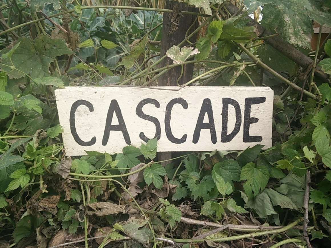 Cascade van Begeerte